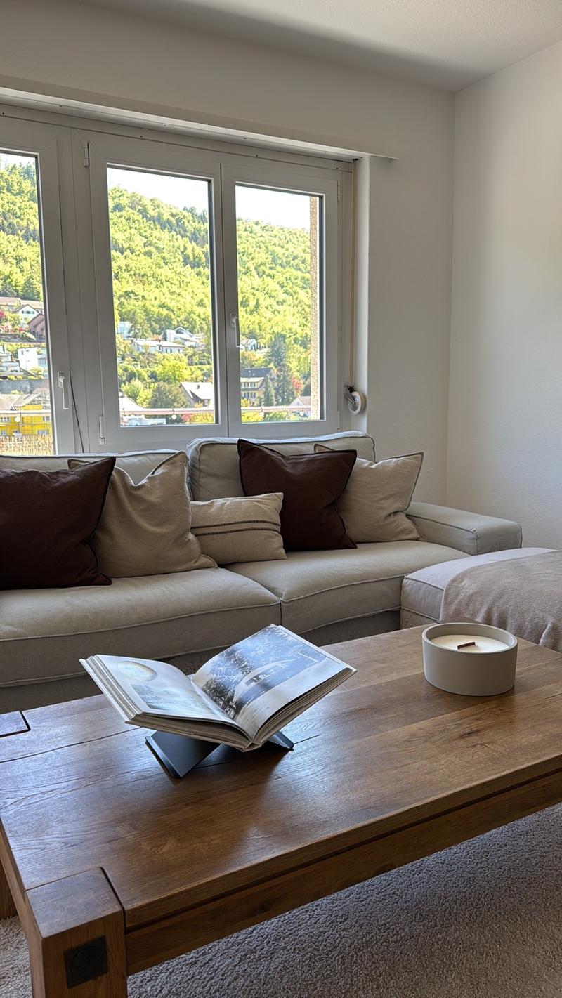 Bright 4-Room Apartment with Large Balcony & Beautiful Lägern Views Replacement Tenant Wanted (10)