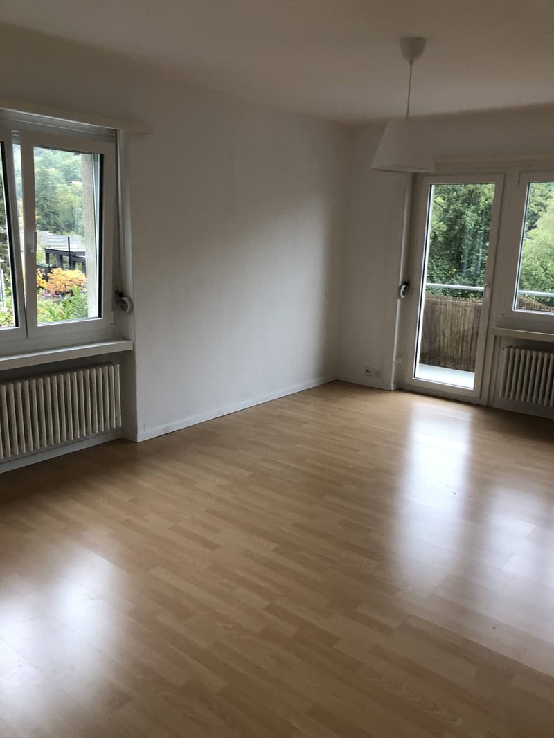 Bright 4-Room Apartment with Large Balcony & Beautiful Lägern Views Replacement Tenant Wanted (8)