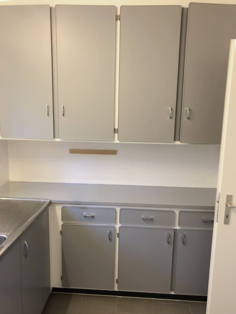 Bright 4-Room Apartment with Large Balcony & Beautiful Lägern Views Replacement Tenant Wanted (12)