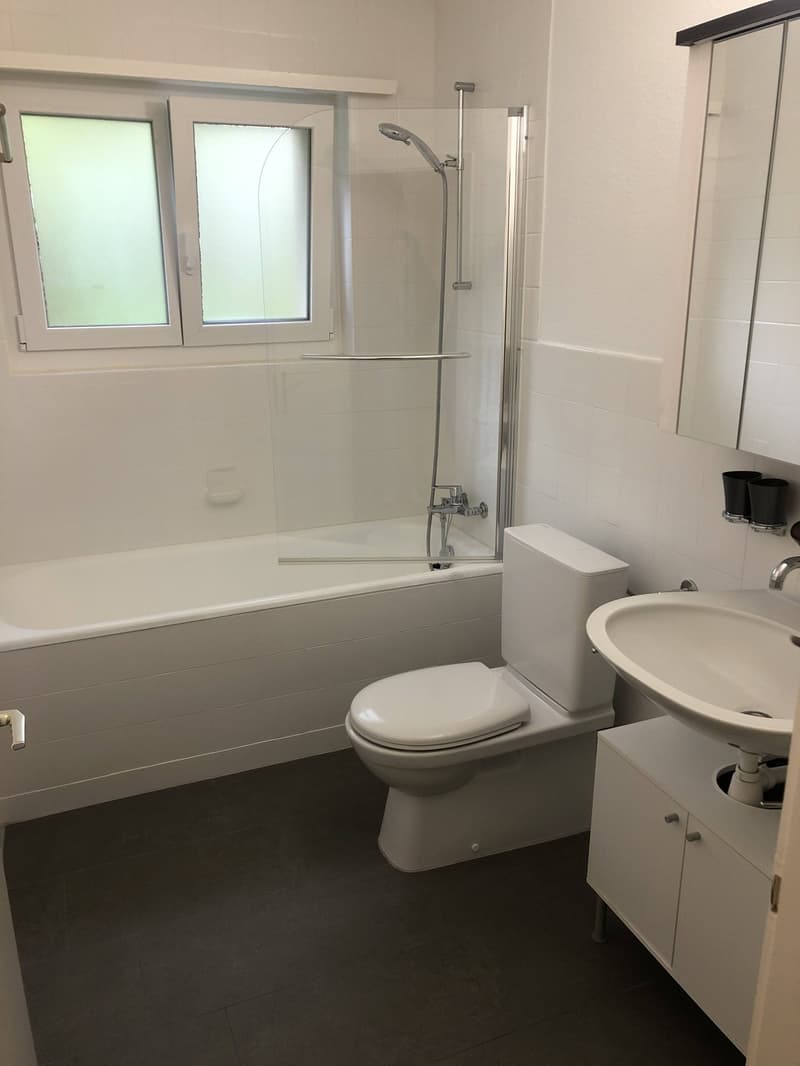 Bright 4-Room Apartment with Large Balcony & Beautiful Lägern Views Replacement Tenant Wanted (6)