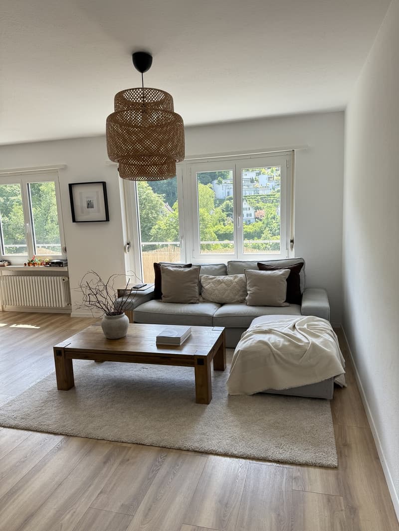 Bright 4-Room Apartment with Large Balcony & Beautiful Lägern Views Replacement Tenant Wanted (1)