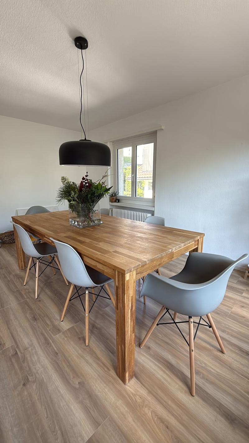 Bright 4-Room Apartment with Large Balcony & Beautiful Lägern Views Replacement Tenant Wanted (3)