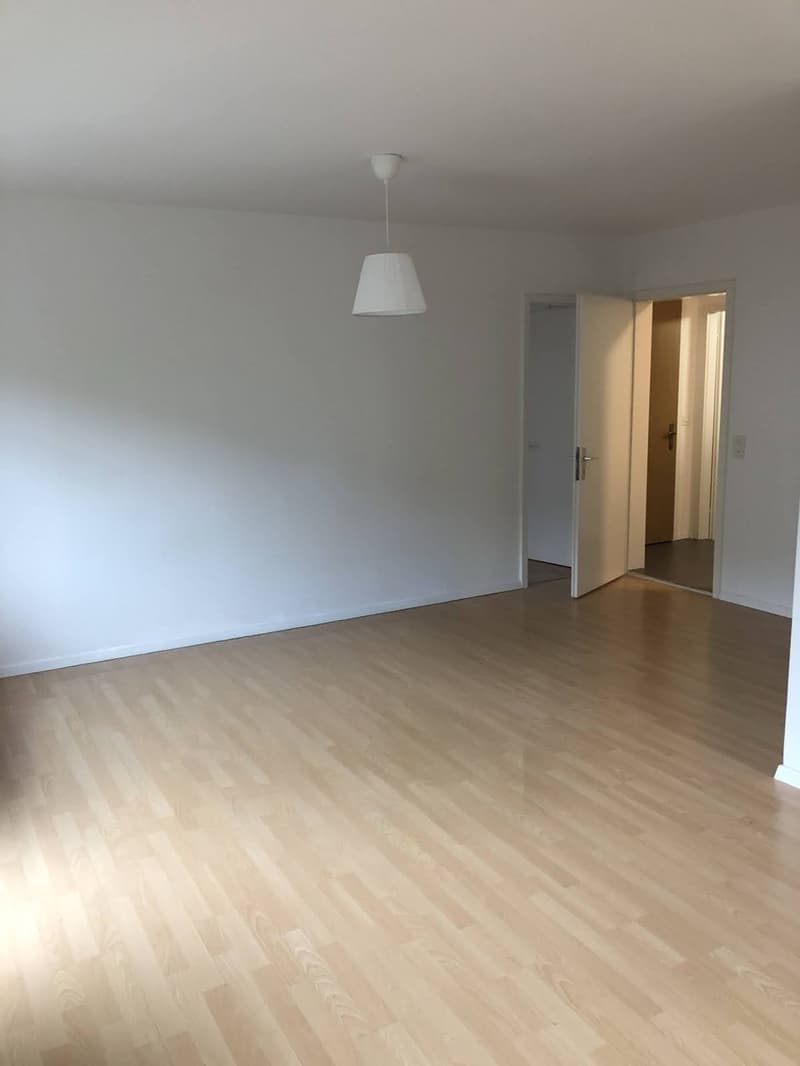 Bright 4-Room Apartment with Large Balcony & Beautiful Lägern Views Replacement Tenant Wanted (11)