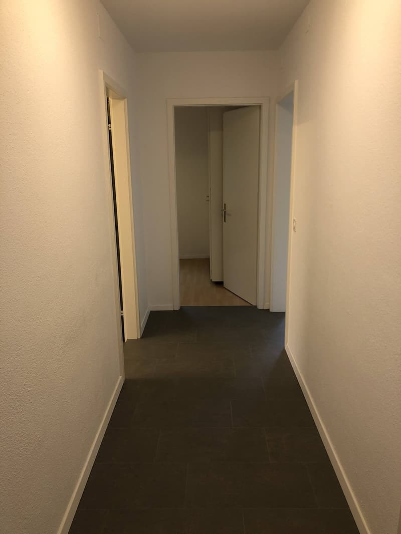 Bright 4-Room Apartment with Large Balcony & Beautiful Lägern Views Replacement Tenant Wanted (7)