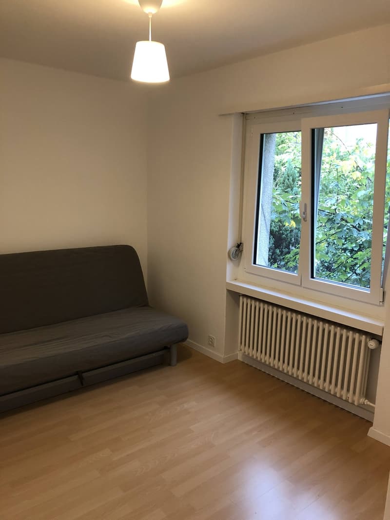 Bright 4-Room Apartment with Large Balcony & Beautiful Lägern Views Replacement Tenant Wanted (9)