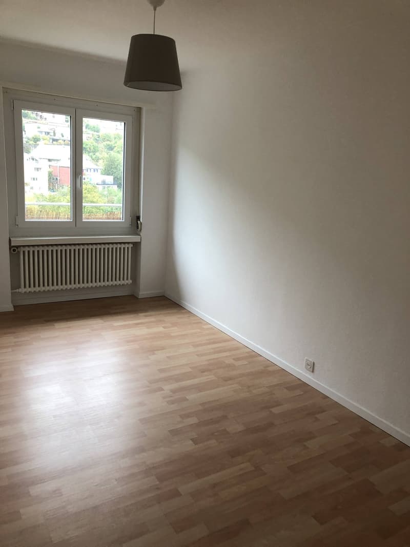 Bright 4-Room Apartment with Large Balcony & Beautiful Lägern Views Replacement Tenant Wanted (4)