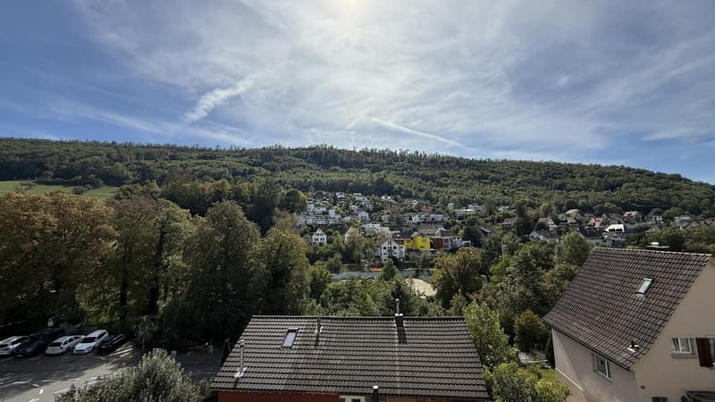 Bright 4-Room Apartment with Large Balcony & Beautiful Lägern Views Replacement Tenant Wanted (2)
