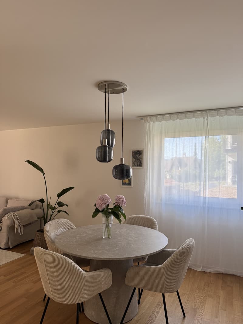 3 ½ Zimmer-Wohnung, 4455 Zunzgen (5)