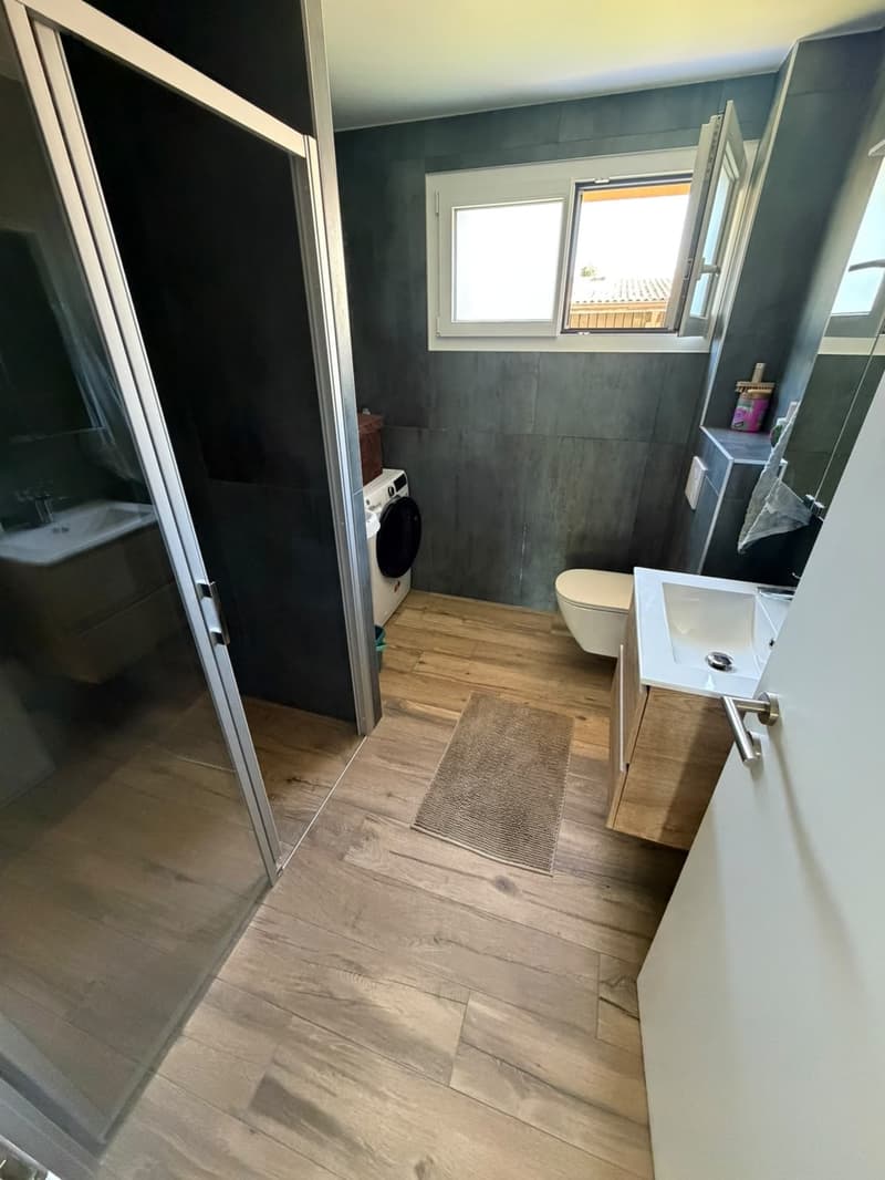 Magnifique appartement neuf de 4,5 pièces  110 m² avec grand balcon (10)