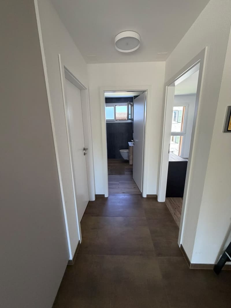 Magnifique appartement neuf de 4,5 pièces  110 m² avec grand balcon (7)