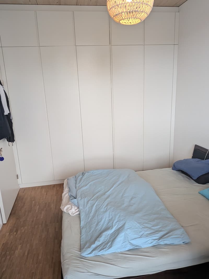 Moderne Wohnung mit riesiger Dachterrasse und Alpenblick (5)