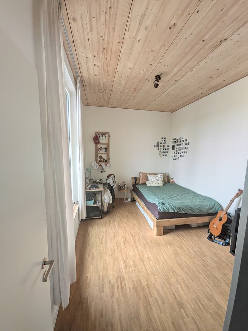 Moderne Wohnung mit riesiger Dachterrasse und Alpenblick (8)