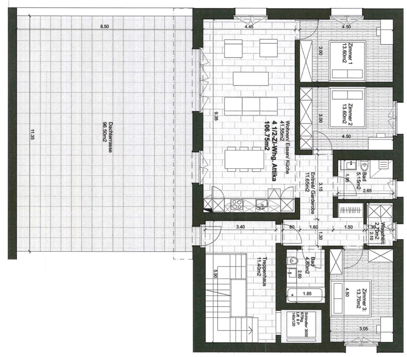 Moderne Wohnung mit riesiger Dachterrasse und Alpenblick (9)
