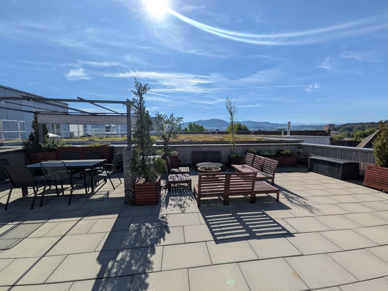 Moderne Wohnung mit riesiger Dachterrasse und Alpenblick (2)