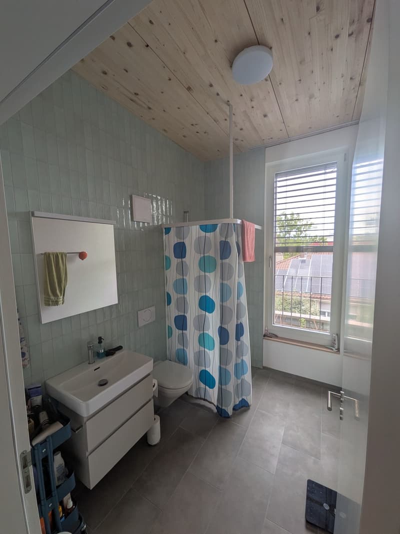 Moderne Wohnung mit riesiger Dachterrasse und Alpenblick (3)