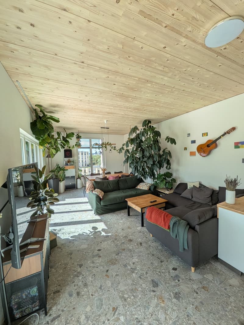 Moderne Wohnung mit riesiger Dachterrasse und Alpenblick (1)