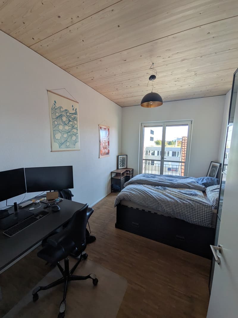 Moderne Wohnung mit riesiger Dachterrasse und Alpenblick (7)