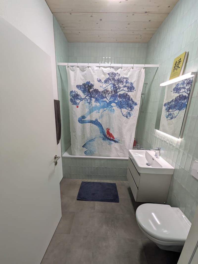 Moderne Wohnung mit riesiger Dachterrasse und Alpenblick (6)
