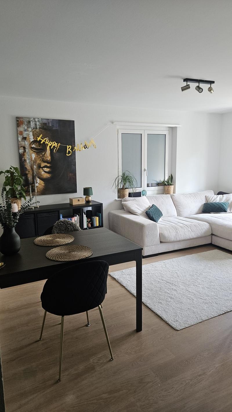 Temporary furnished 3 room apartment - November/Dezember (1)