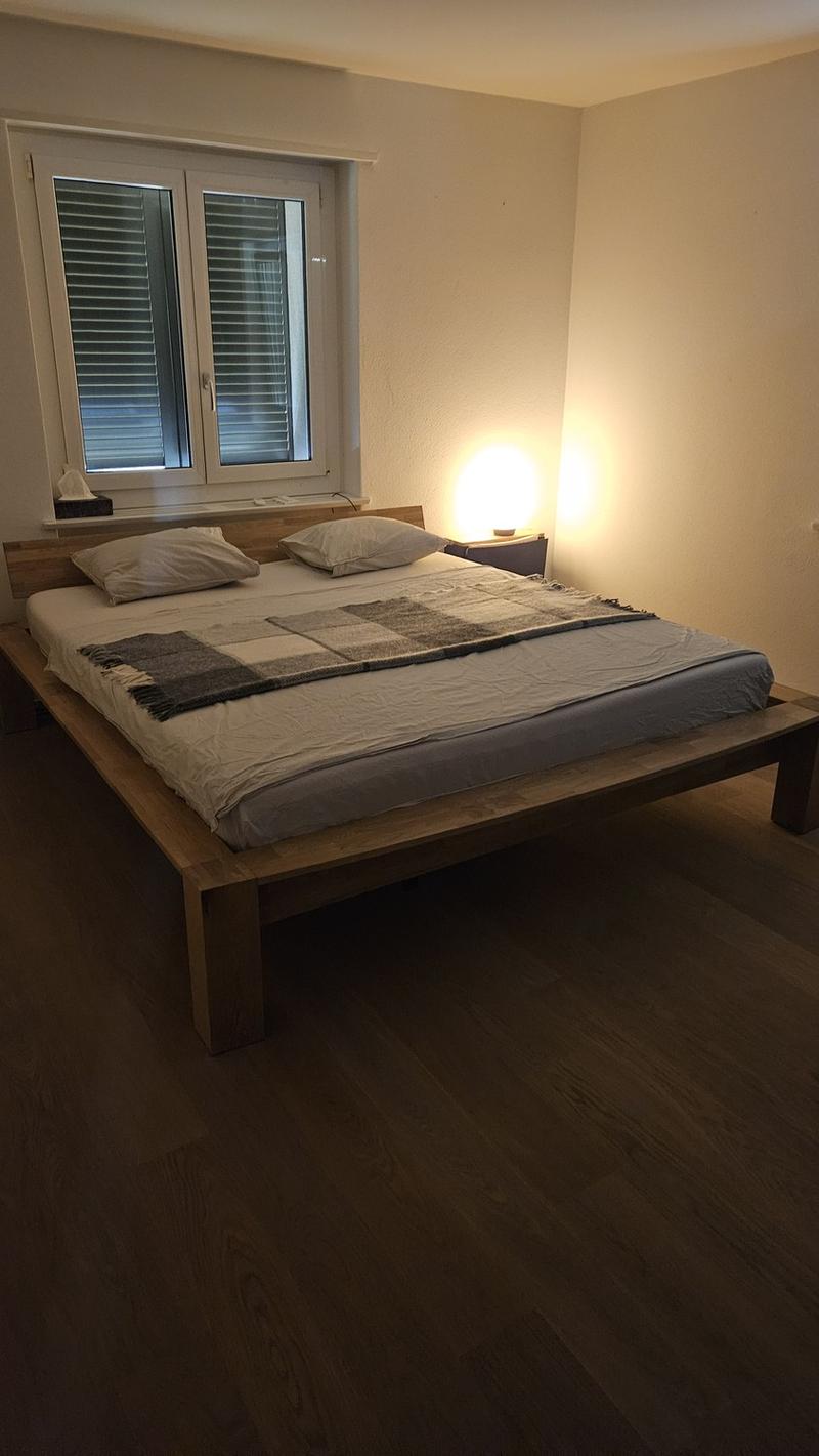 Temporary furnished 3 room apartment - November/Dezember (7)