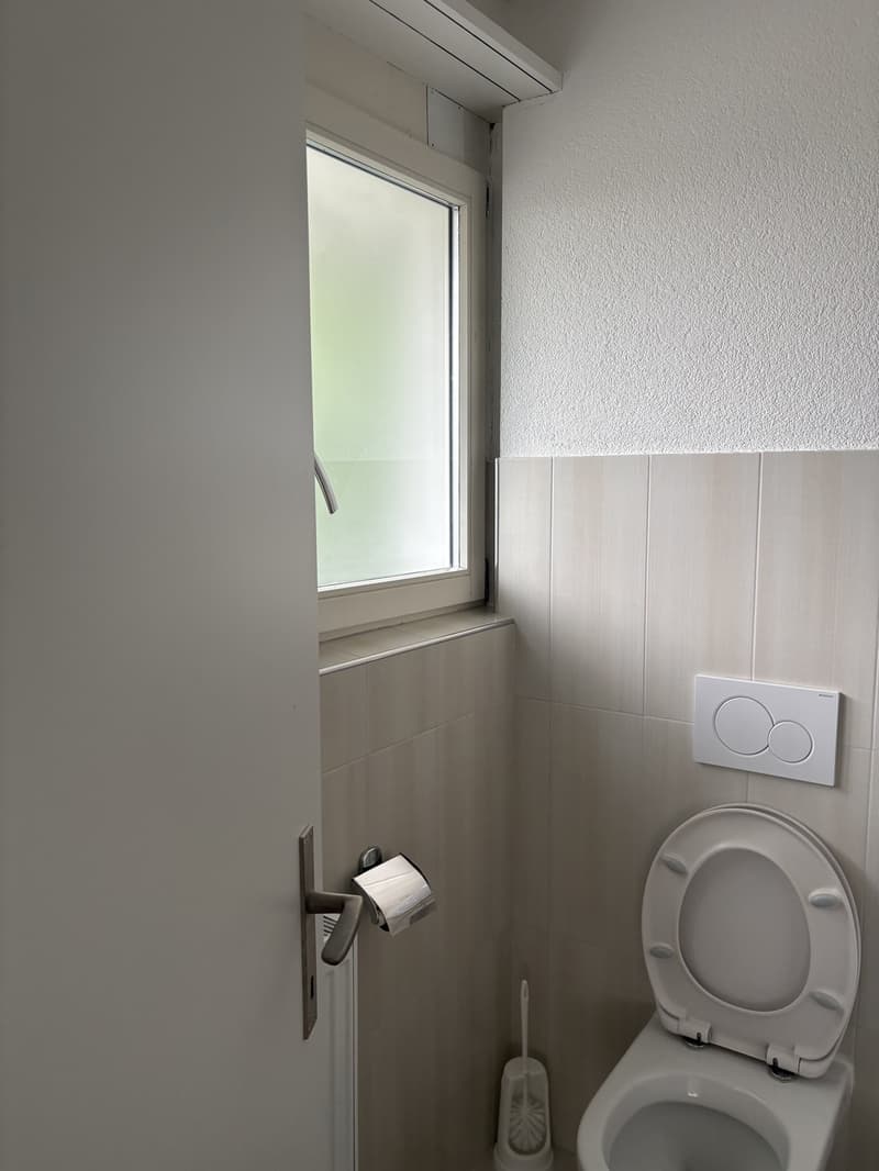 1 ½ Zimmer-Wohnung, 9630 Wattwil (7)