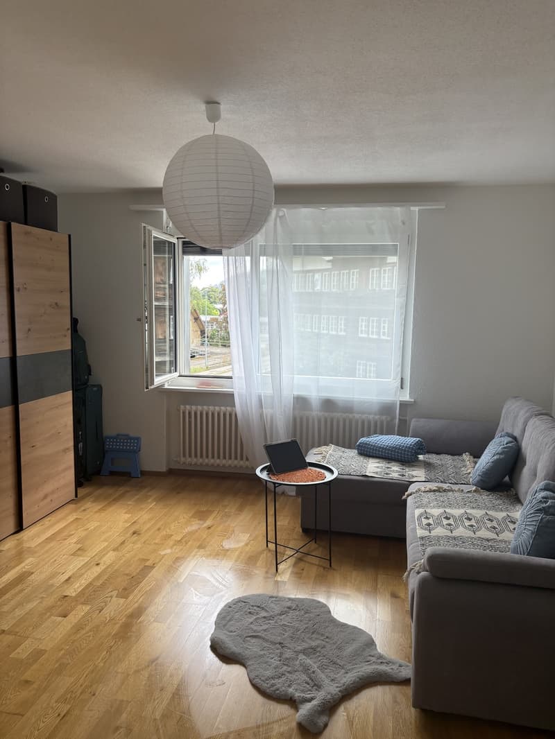 1 ½ Zimmer-Wohnung, 9630 Wattwil (8)