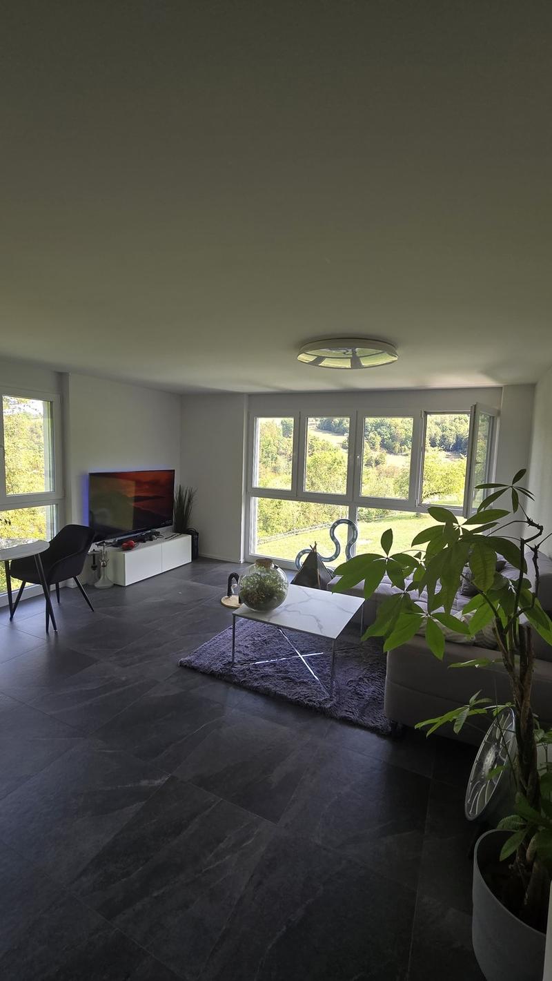 Nachmieter gesucht - moderne 2.5-Zimmer-Neubauwohnung im 2. Stock (2)
