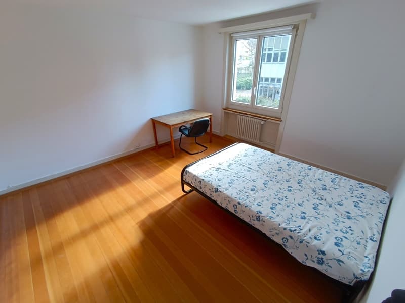 Bright, big and centric room in Kloten (2)