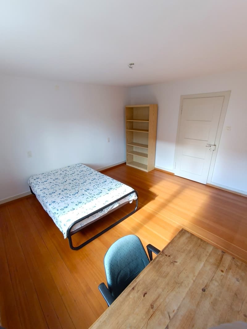 Bright, big and centric room in Kloten (4)