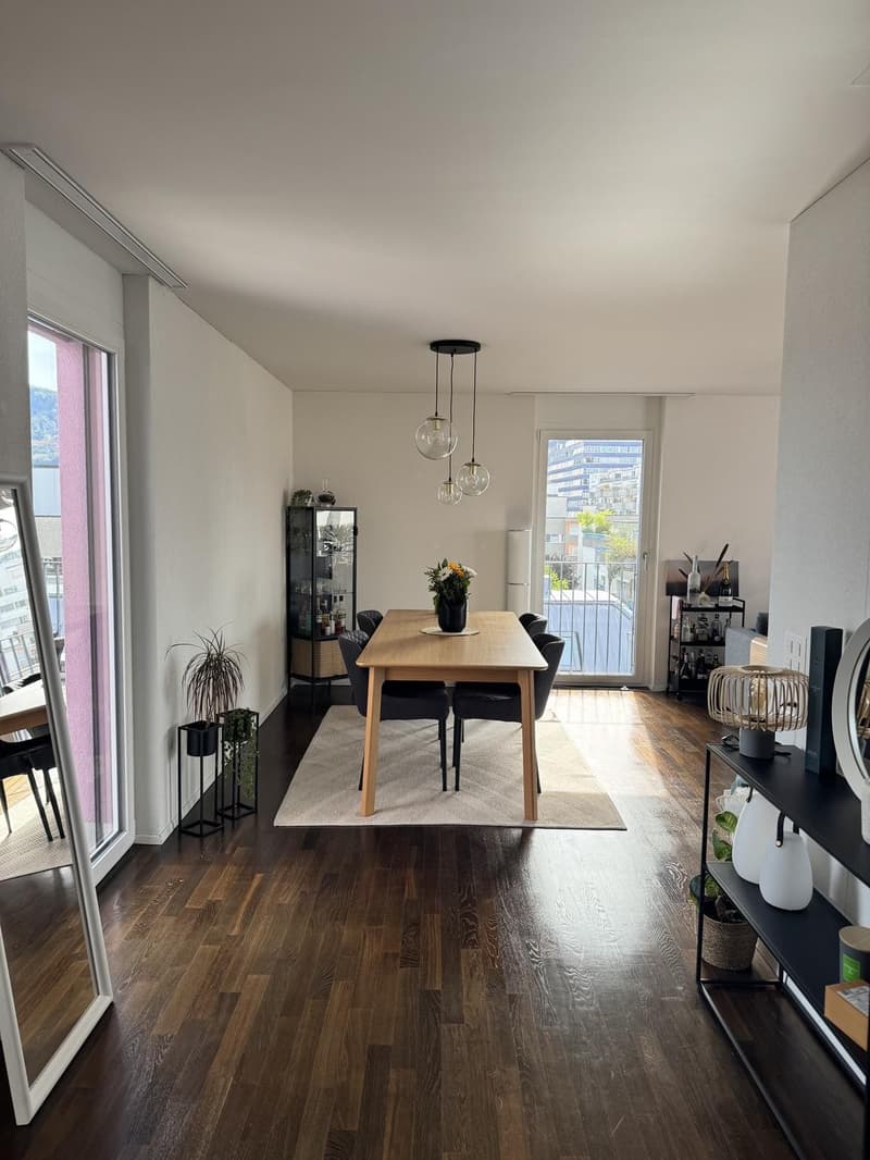 Möblierte 3.5-Zimmer-Wohnung zur Zwischenmiete (english below) (1)