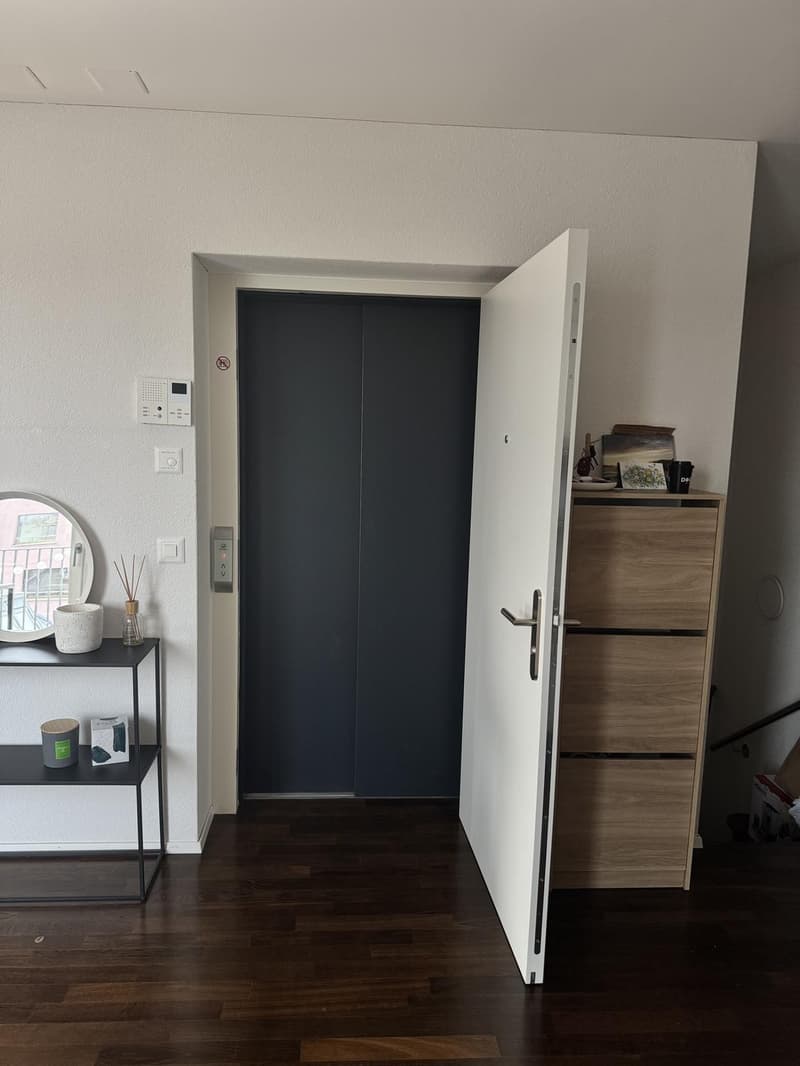 Möblierte 3.5-Zimmer-Wohnung zur Zwischenmiete (english below) (11)