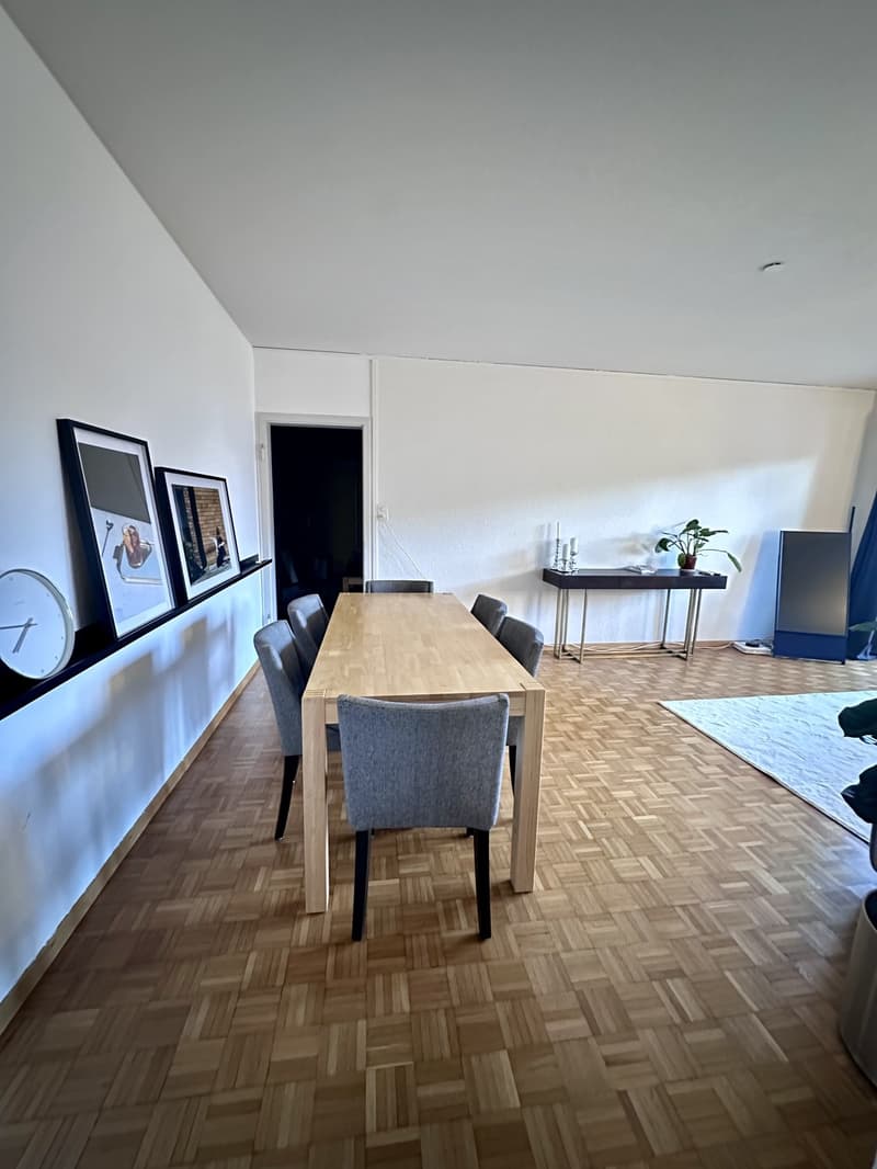 2.5-Room Apartment in Zürich-Wiedikon (Kreis 3) (2)
