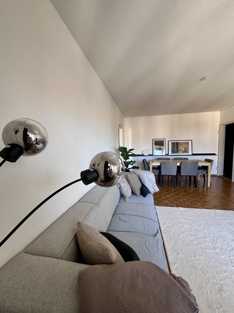 2.5-Room Apartment in Zürich-Wiedikon (Kreis 3) (11)