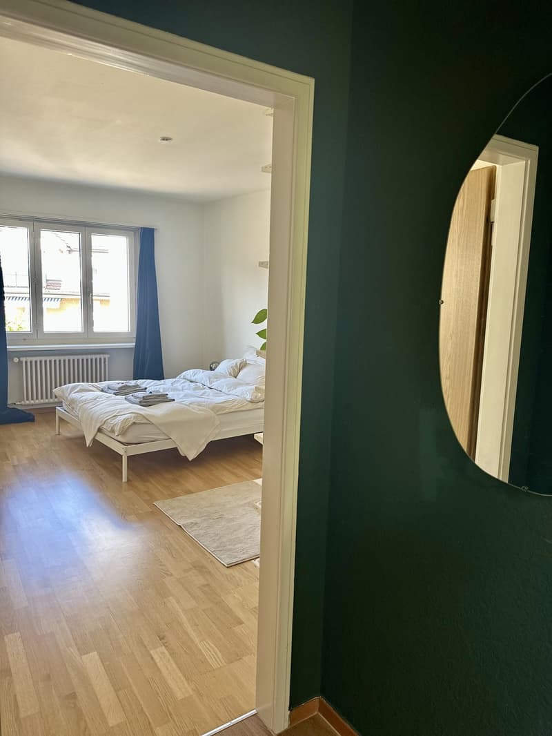 2.5-Room Apartment in Zürich-Wiedikon (Kreis 3) (7)