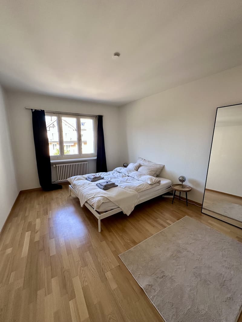 2.5-Room Apartment in Zürich-Wiedikon (Kreis 3) (6)