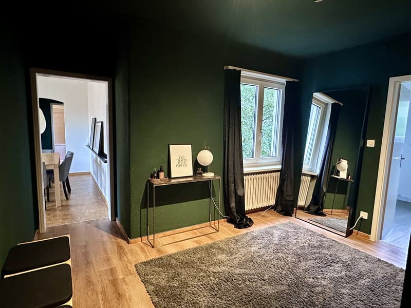 2.5-Room Apartment in Zürich-Wiedikon (Kreis 3) (1)
