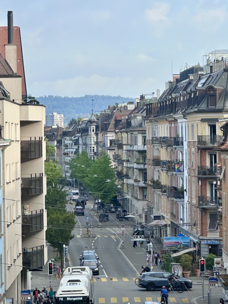 2.5-Room Apartment in Zürich-Wiedikon (Kreis 3) (10)