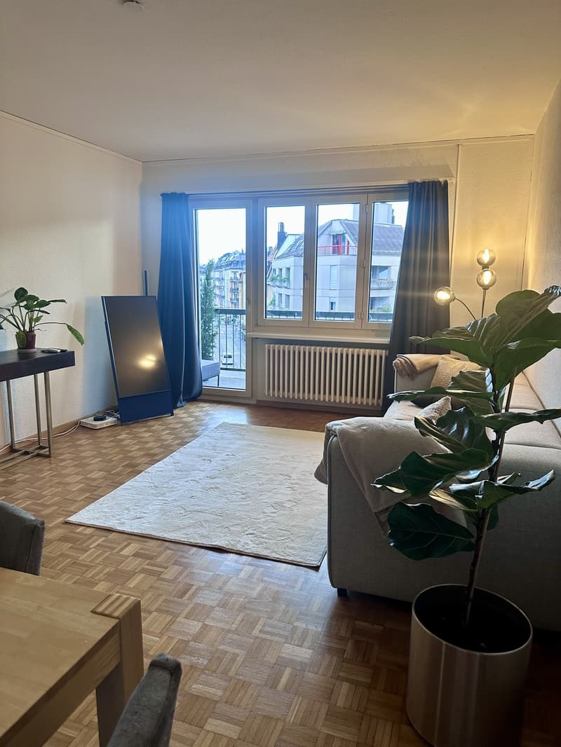 2.5-Room Apartment in Zürich-Wiedikon (Kreis 3) (12)