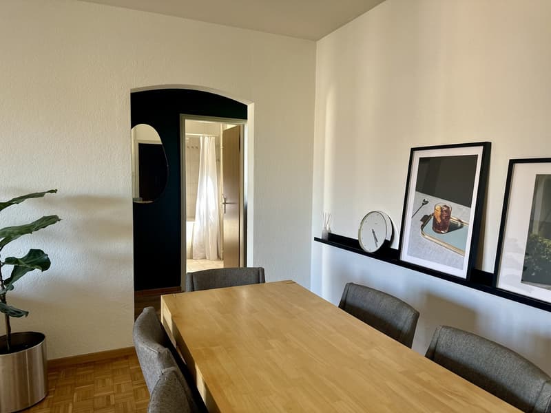 2.5-Room Apartment in Zürich-Wiedikon (Kreis 3) (8)