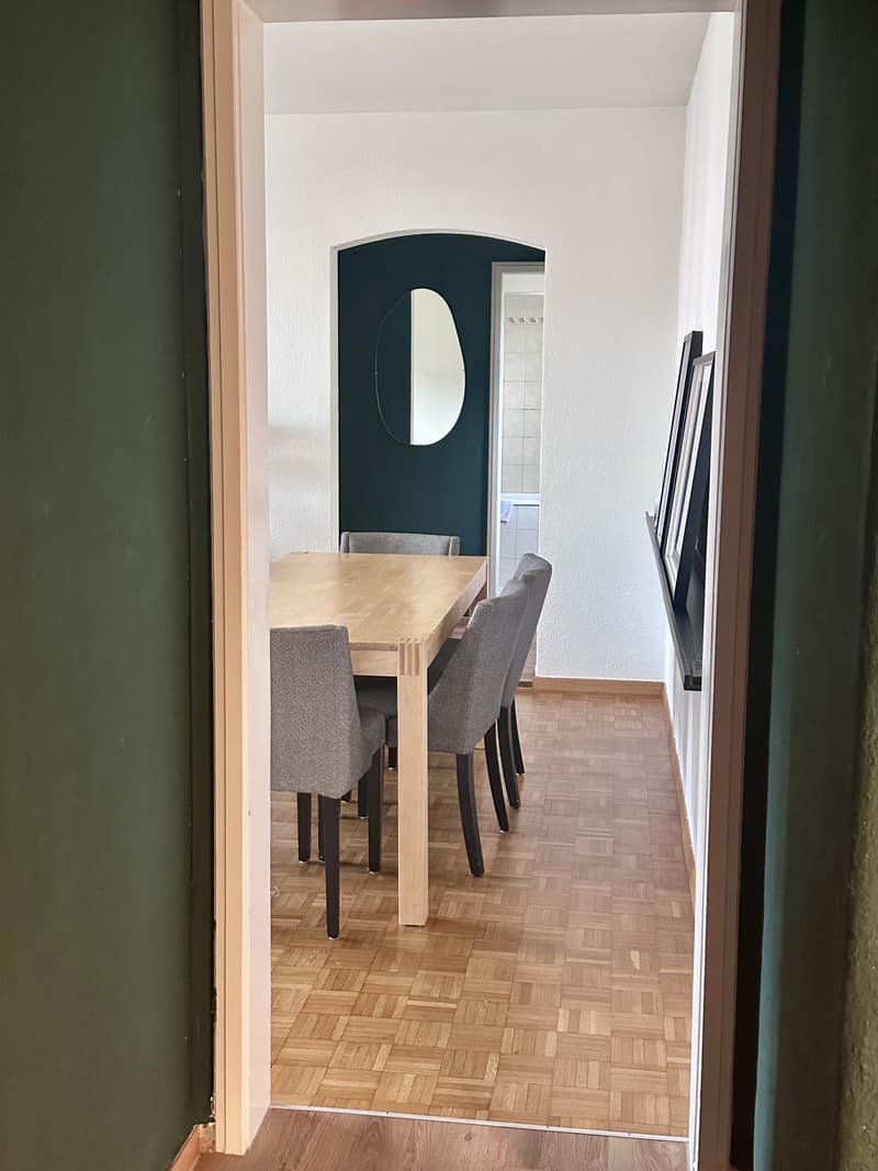 2.5-Room Apartment in Zürich-Wiedikon (Kreis 3) (9)