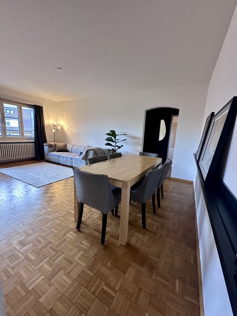 2.5-Room Apartment in Zürich-Wiedikon (Kreis 3) (4)
