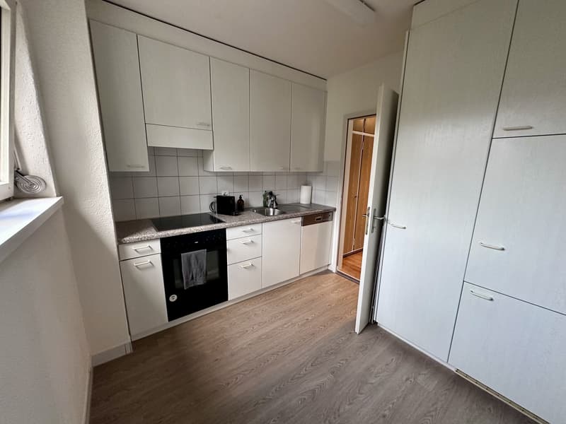 2.5-Room Apartment in Zürich-Wiedikon (Kreis 3) (3)