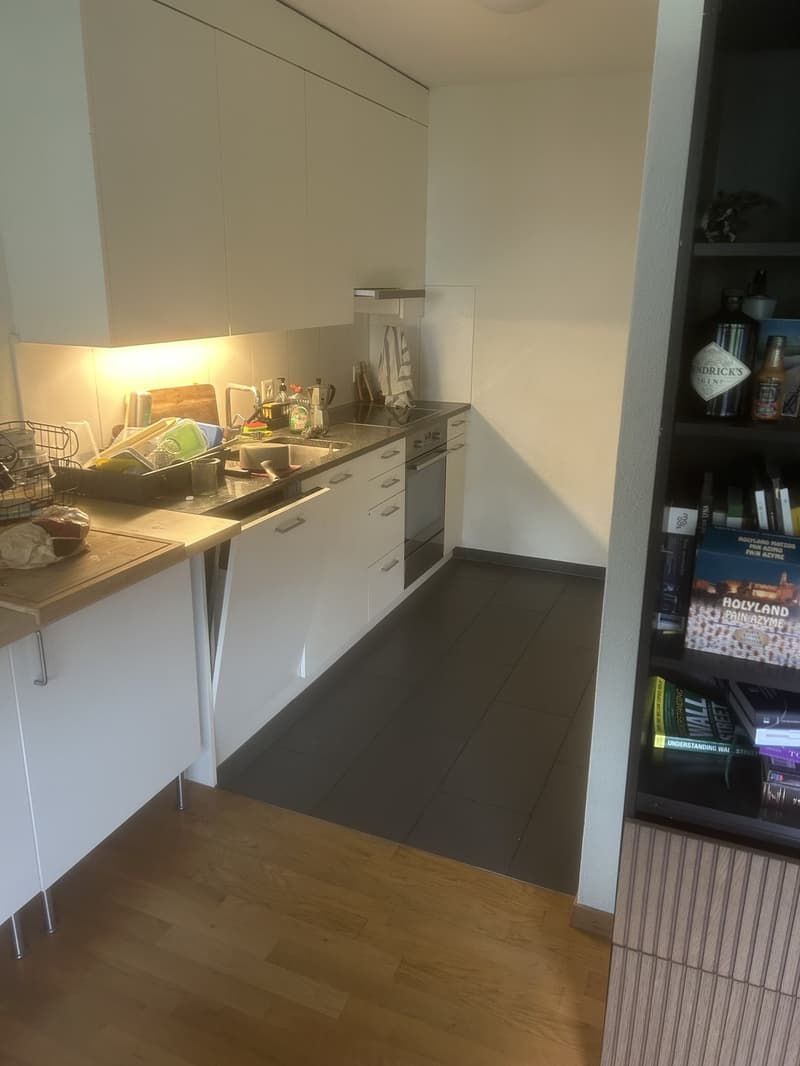 Room in a shared apartment (3)