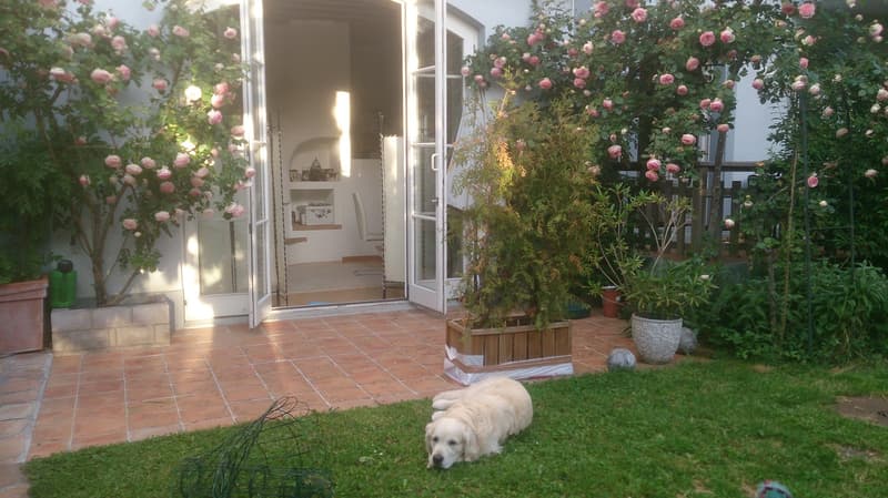 Appartement à louer à1815 Clarens/Montreux :10-15 octobre Bail à reprendre; 2,5 pièces,Rdc avec jardin (4)