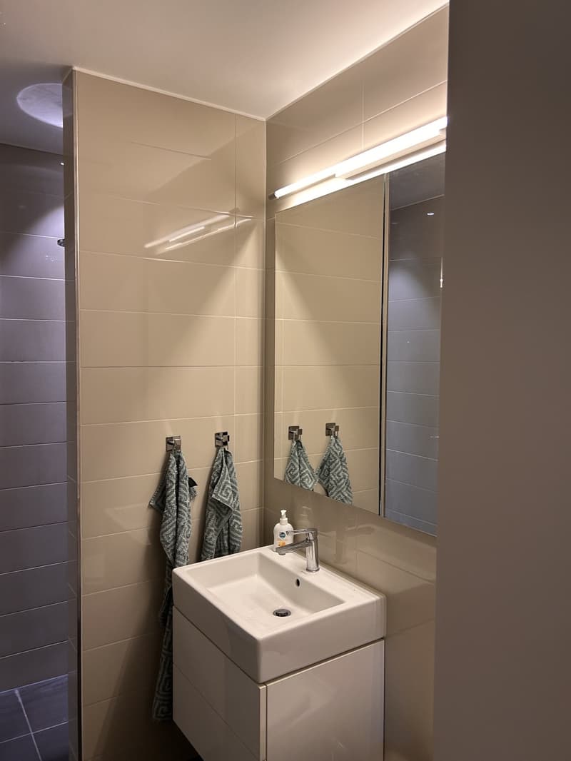 1 ½ Zimmer-Wohnung, 8001 Zürich (7)