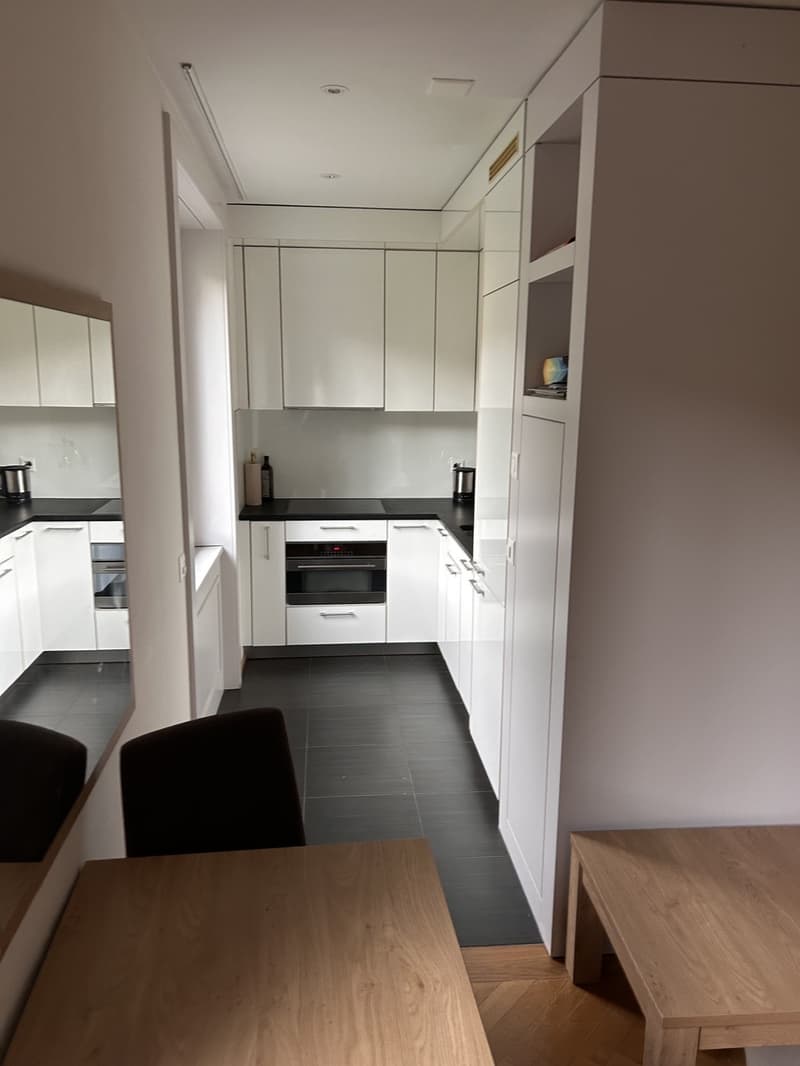 1 ½ Zimmer-Wohnung, 8001 Zürich (4)