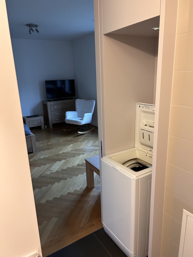 1 ½ Zimmer-Wohnung, 8001 Zürich (9)