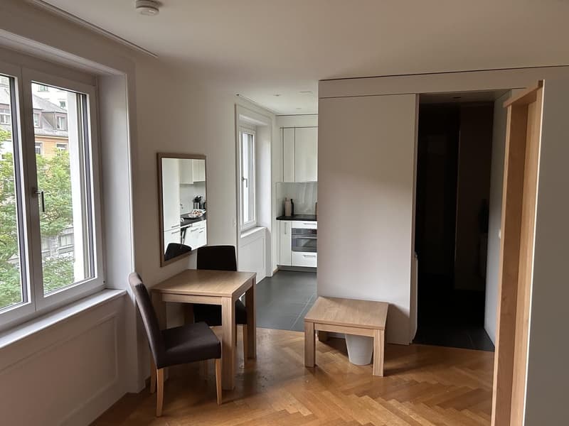 1 ½ Zimmer-Wohnung, 8001 Zürich (3)