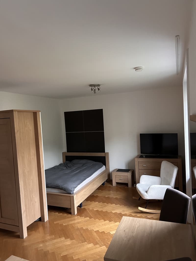 1 ½ Zimmer-Wohnung, 8001 Zürich (2)