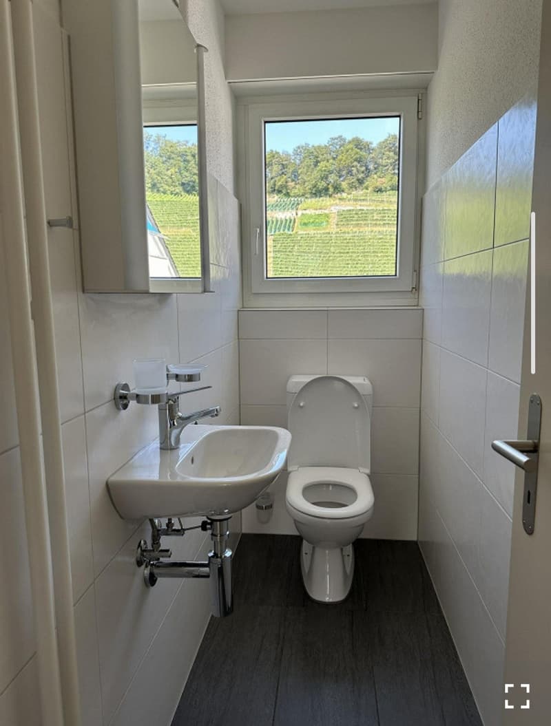 4 Zimmer-Wohnung, 9425 Thal (5)